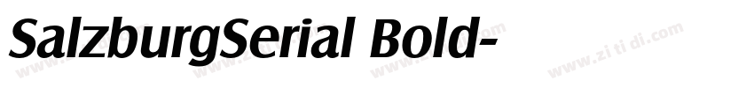 SalzburgSerial Bold字体转换 SalzburgSerial Bold字体转换
